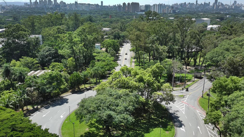 Parques, bosques urbanos e áreas de preservação integram as ações voltadas à ampliação da vegetação no município - Imagem: Renato Pinheiro/PrefSP