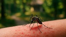 Os sintomas incluem febre, dores articulares e erupções cutâneas - Imagem gerada por IA