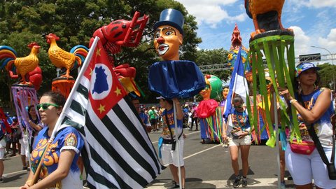 Prefeitura de SP recebe patrocínio de R$ 27,8 milhões para Carnaval de rua - Imagem: Reprodução / Agência Brasil / Rovena Rosa
