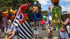 Prefeitura de SP recebe patrocínio de R$ 27,8 milhões para Carnaval de rua - Imagem: Reprodução / Agência Brasil / Rovena Rosa