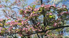 Temperaturas já devem subir a partir deste fim de semana - Imagem: Reprodução / Freepik