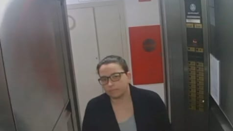 Última imagem de Fernanda Bonin foi registrada por câmera de elevador do prédio onde morava - Imagem: Reprodução