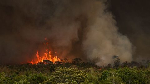 Projeto de lei que endurece penas contra crimes ambientais aguarda decisão da Câmara dos Deputados - Imagem: Reprodução / Agência Brasil / Marcelo Camargo