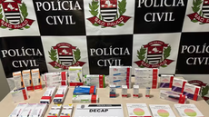 Ozempic e Wegovy, remédios de alto custo, estavam entre os produtos roubados pelo grupo - Imagem: Divulgação | PCSP