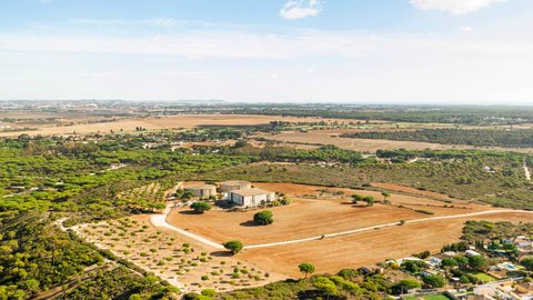 Vista aérea de paisagem rural - Imagem: Reprodução / Freepik
