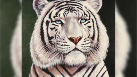 Sergio Sergi (1951), Ritratto di tigre bianca | Na arte, o tigre se reinventa, de papel, às vezes de pixel, de metáfora. Sempre questionando o  que é força e o que é aparência - Imagem: Reprodução