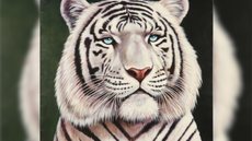 Sergio Sergi (1951), Ritratto di tigre bianca | Na arte, o tigre se reinventa, de papel, às vezes de pixel, de metáfora. Sempre questionando o  que é força e o que é aparência - Imagem: Reprodução