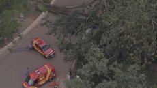 Bombeiros socorrem vítimas no Parque Ibirapuera. - Imagem: Reprodução/TV Globo.