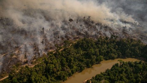 Mais de 21% do território brasileiro foi queimado em 40 anos, diz estudo - Imagem: Amazônia Real