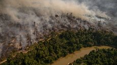 Mais de 21% do território brasileiro foi queimado em 40 anos, diz estudo - Imagem: Amazônia Real