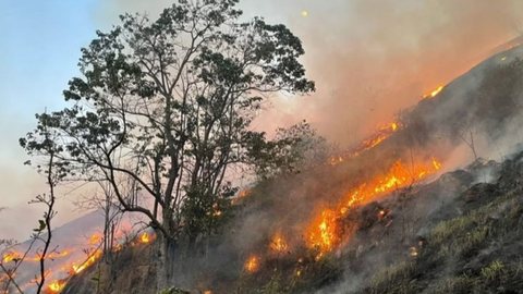 Queimadas persistem em municípios do interior de SP - Imagem: Divulgação / Governo do Estado de São Paulo