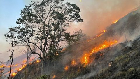 Apesar da redução, a Amazônia ainda representa 78% da área total queimada - Imagem: Divulgação / Governo de São Paulo