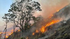 Apesar da redução, a Amazônia ainda representa 78% da área total queimada - Imagem: Divulgação / Governo de São Paulo