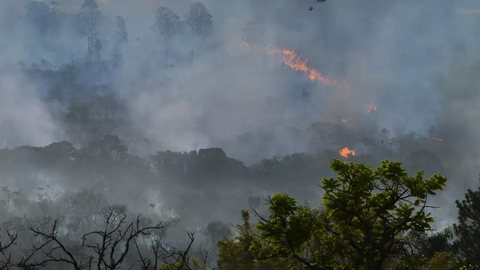 A Defesa Civil de São Paulo emitiu alerta sobre a semana crítica para queimadas, com incêndios próximos - Imagem: Reprodução / Arquivo / Valter Campanato / Agência Brasil