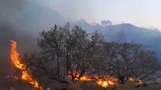 O cenário mais crítico está em Timburi, no centro-oeste paulista, onde o fogo persiste há sete dias - Imagem: Reprodução/ Defesa Civil