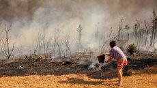 Amazônia perde 57% de sua área para incêndios, enquanto Cerrado sofre devastação de 85% de vegetação nativa - Imagem: Reprodução | Fabio Rodrigues Pozzebom / Agência Brasil