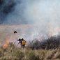 Cerca de 70 brigadistas do Ibama estão tentando conter os incêndios - Imagem: Reprodução / GOV-MS