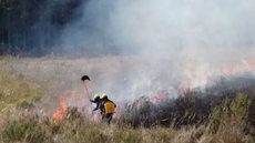 Cerca de 70 brigadistas do Ibama estão tentando conter os incêndios - Imagem: Reprodução / GOV-MS