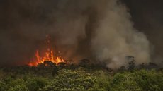 Cerca de 1 milhão de focos registrados foram agravados pela seca histórica - Imagem: Reprodução / Marcelo Camargo / Agência Brasil