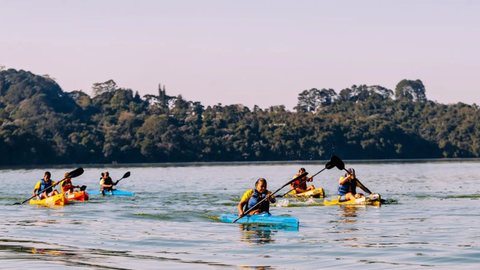 Modalidades aquáticas estão entre as mais procuradas nas unidades com piscinas aquecidas - Imagem: Divulgação / Secom / Leon Rodrigues