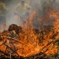 Queimada atinge área rural de Redenção da Serra, interior de SP - Imagem: Reprodução/ Joédson Alves/ Agência Brasil