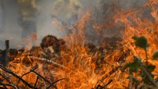 Fogo se espalha em Redenção da Serra e destrói área equivalente a 35 campos de futebol - Imagem: Reprodução/ Joédson Alves/ Agência Brasil