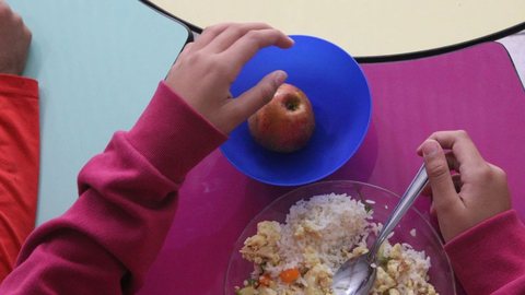 A pesquisa categoriza a insegurança alimentar em leve, moderada e grave, com quedas em todos os níveis entre 2023 e 2024 - Imagem: Reprodução/Redes Sociais