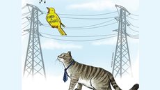 Reforma no Real Grandeza pode transferir controle para Eletrobras - Imagem: Divulgação/Coluna Esplanada