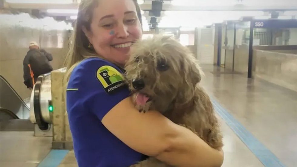 Linha 1-Azul do metrô em SP é paralisada para salvar cachorro; veja vídeo - Imagem: reprodução redes sociais