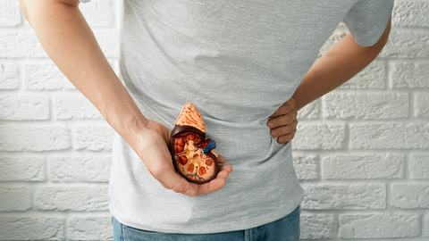 Combinação de pembrolizumabe e belzutifano foi aprovada para pacientes com câncer renal de células claras e maior risco de retorno da doença após cirurgia - Imagem: Reprodução