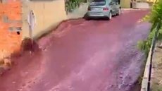 VÍDEO - 'rio' de vinho inunda ruas de cidade em Portugal; veja - Imagem: reprodução redes sociais