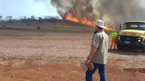 Defesa Civil alerta para condições perigosas com clima seco e calor intenso - Imagem: Divulgação / Governo de São Paulo