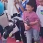 Robô humanóide chuta criança e vídeo repercute na web - Imagem: Reprodução