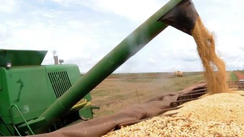Apesar da queda na produção de milho e outras culturas, a área plantada deve aumentar em 1,1% - Imagem: Reprodução / Agência Brasil