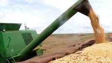 O aumento na área cultivada e a demanda global por soja e algodão contribuem para as previsões positivas da Conab - Imagem: Reprodução / Arquivo / Agência Brasil
