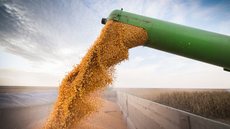 A soja lidera a produção com 171,5 milhões de toneladas, refletindo um aumento significativo na produtividade - Imagem: Reprodução/ Portal Gov.br