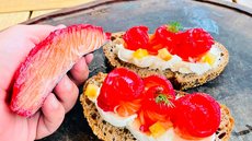 Graxlax de Salmão com Gin - Imagem: Divulgação/Chef Luiz Borba