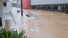 Cerca de 320 pessoas deslocadas e 995 desalojadas - Imagem:  Divulgação / Coredec / Itajaí (SC)