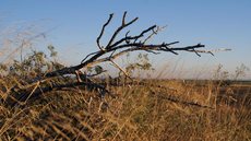 Clima seco e ausência de chuvas são principais fatores para alerta - Imagem: Reprodução / Freepik