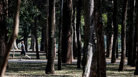 Parque Ibirapuera, São Paulo - SP - Imagem: Reprodução / Paulo Pinto / Agência Brasil