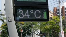 A cidade enfrenta a sétima onda de calor do ano, levando a Defesa Civil a emitir alerta sobre altas temperaturas e baixa umidade - Imagem: Reprodução / Paulo Pinto / Agência Brasil