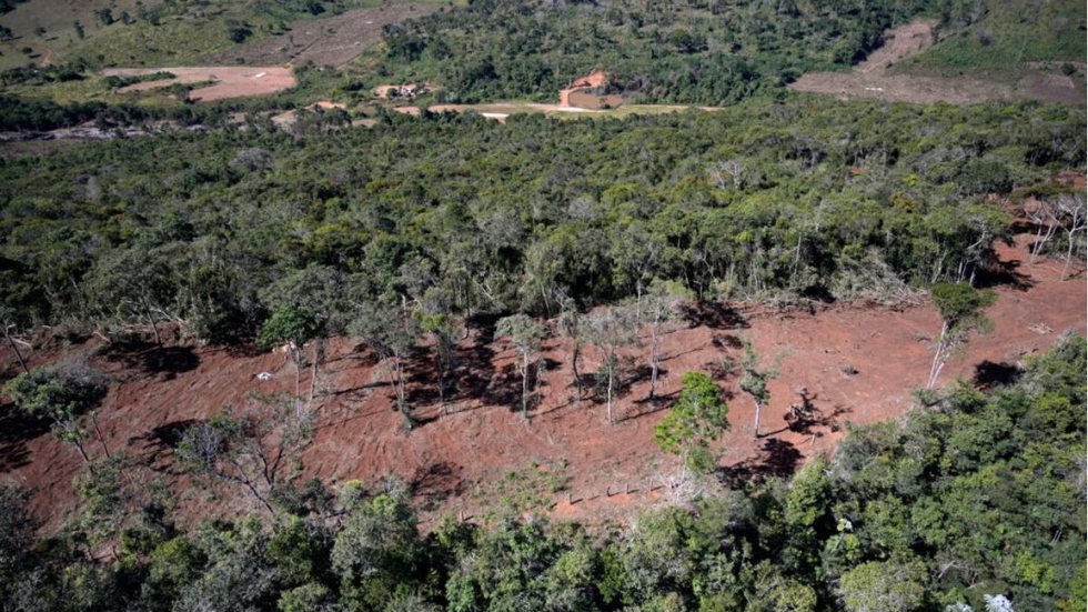 Mata Atlântica - Imagem: Reprodução/SOS Mata Atlântica