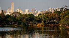 Parque Ibirapuera, em São Paulo - Imagem: Reprodução/Freepik