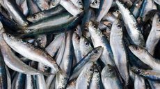 Grupos vulneráveis, como crianças e idosos, estão em maior risco de intoxicação alimentar causada pela salmonella - Imagem: Reprodução/Freepik