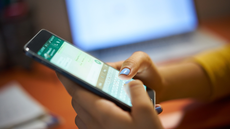 Informações sobre os agendamentos serão enviados por celular; manter os dados atualizados é essencial - Imagem: Reprodução | WhatsApp