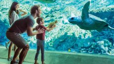 SeaWord abrirá parque nos Emirados Árabes - Imagem: reprodução Twitter