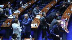 Senado avalia reforma tributária com foco na isenção de alimentos e corte de gastos - Imagem: Reprodução / Agência Brasil / Lula Marques