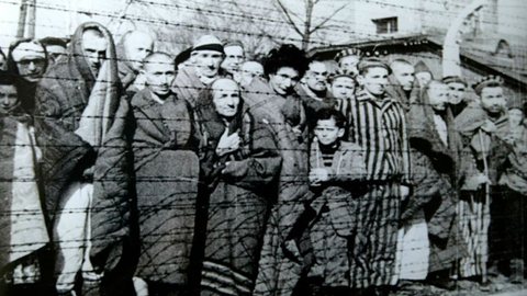 Dia em Memória das Vítimas do Holocausto. - Imagem: Divulgação / Senado Federal