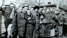Dia em Memória das Vítimas do Holocausto. - Imagem: Divulgação / Senado Federal