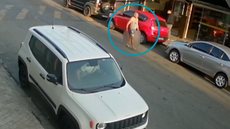 Agentes da GCM encontraram 18 animais em condições críticas e cadáveres de gatos em sua posse - Imagem: Reprodução / Câmera de Segurança